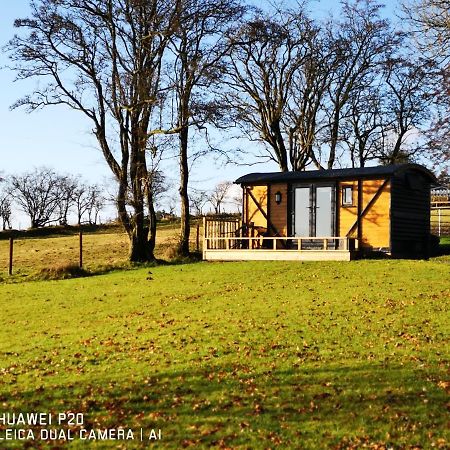 הוילה לנדרינדוד וולס Pen-Rhos Luxury Glamping "Cuckoo'S Nest" מראה חיצוני תמונה