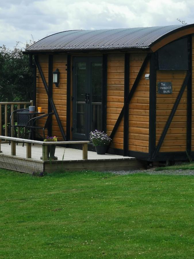 הוילה לנדרינדוד וולס Pen-Rhos Luxury Glamping "Cuckoo'S Nest" מראה חיצוני תמונה